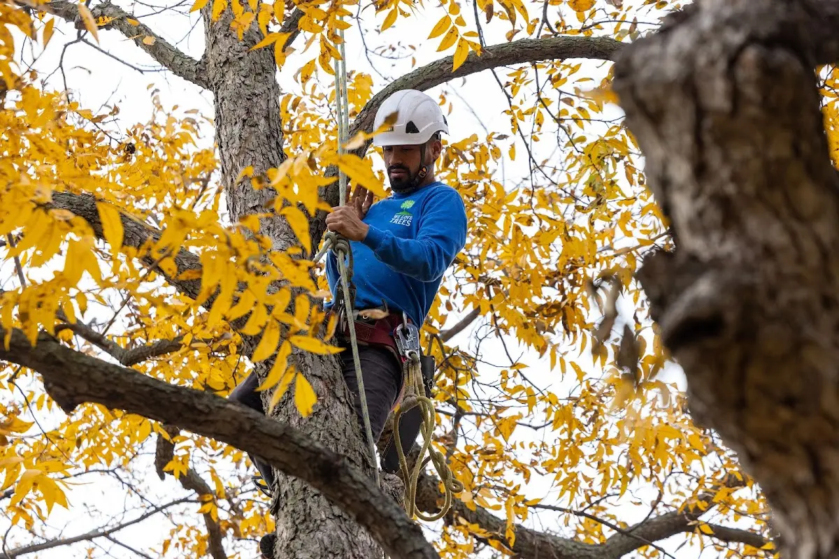 Skilled Storm Damage Cleanup crew working in Samburg