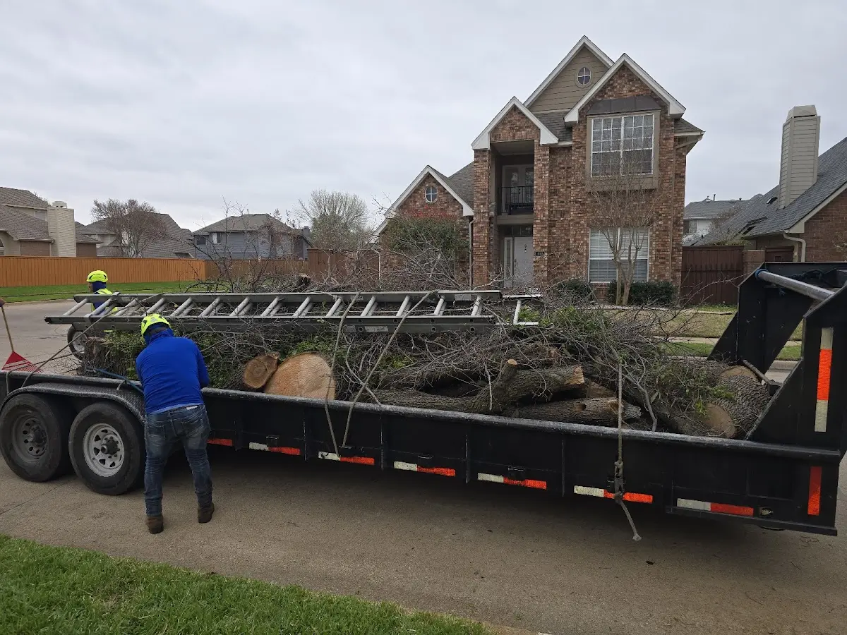 Expert Tree Removal with proper safety equipment in Samburg